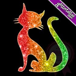 Gato/Cat