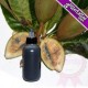 Gel de Jagua 125ml bottle